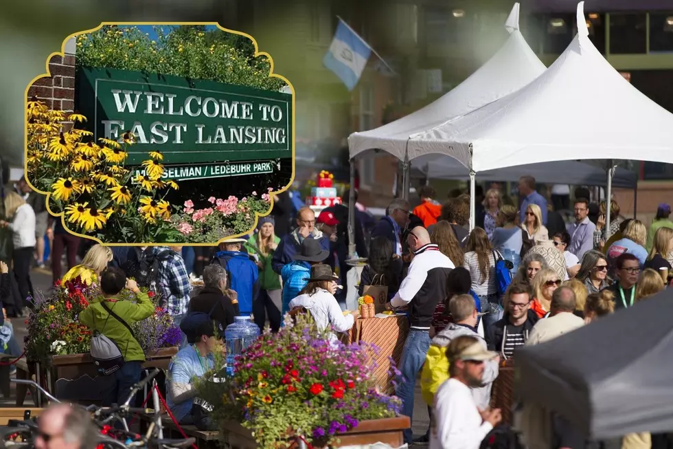 The East Lansing Art Festival And MSU Arts & Crafts Fair Return This Weekend