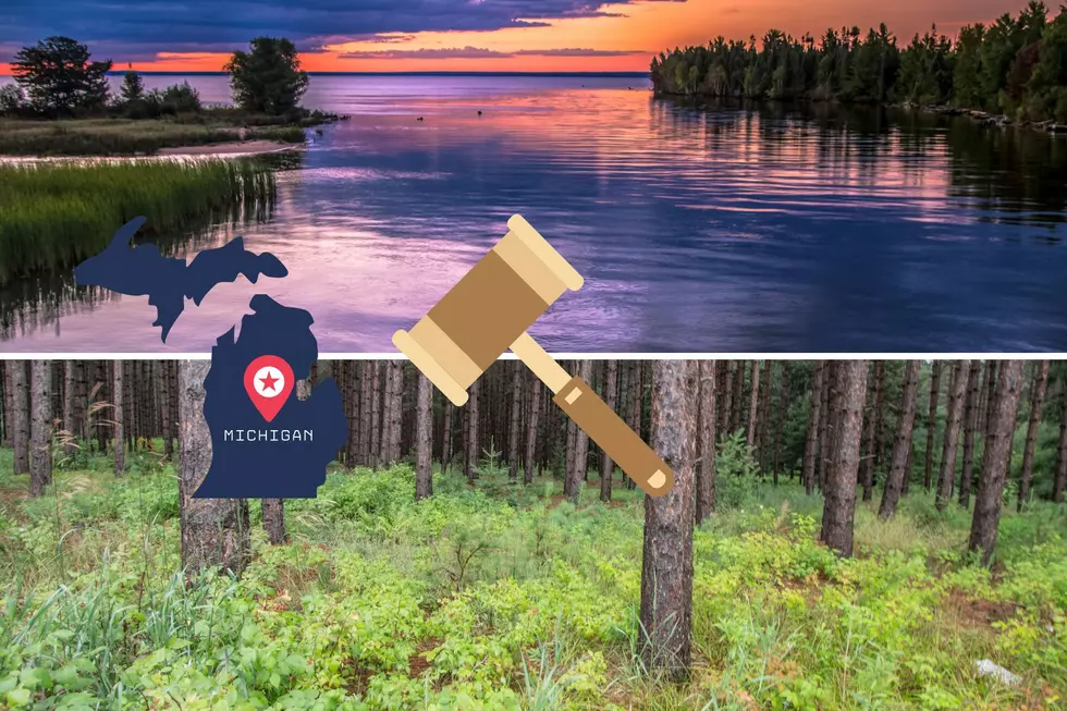 Own An Enormous Piece Of Northern Michigan Lakefront Land