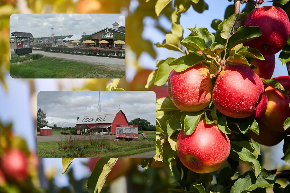 The Best U-Pick Apple Orchards Across Michigan