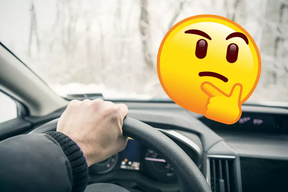 Which Michigan Winter Weather Driver Are You? One of These Three