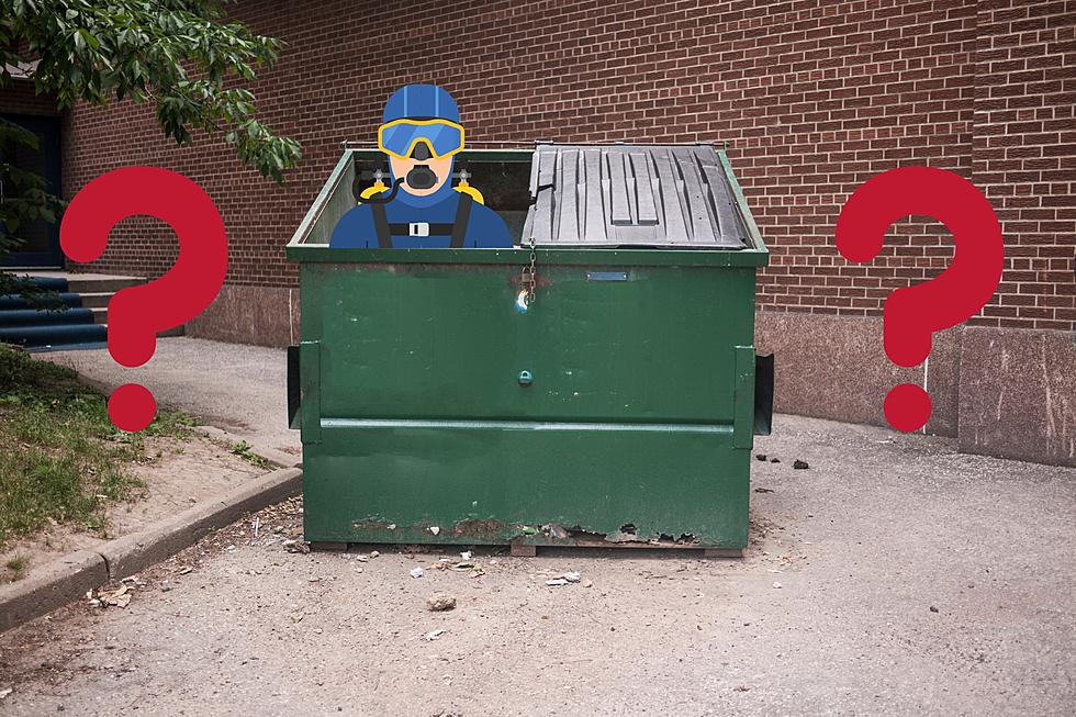 Is it Okay to Dumpster Dive in Michigan?