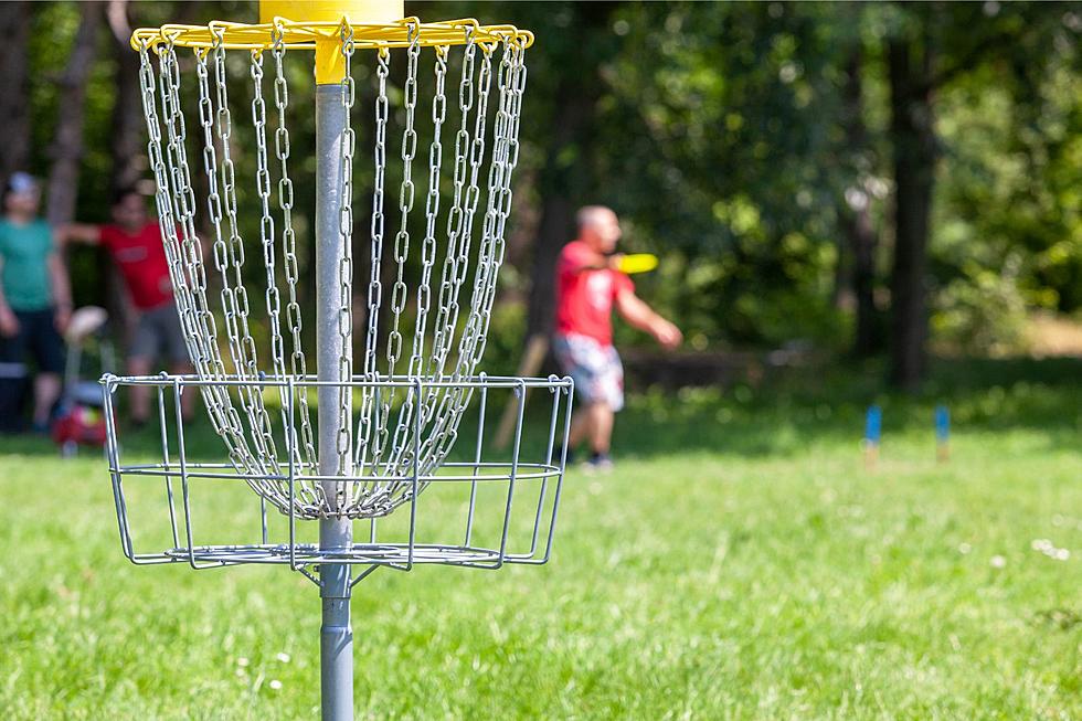 Disc Golf 101: Locations and Leagues in Lansing