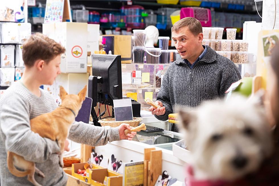 Where Can You Shop With Your Dog in Michigan?