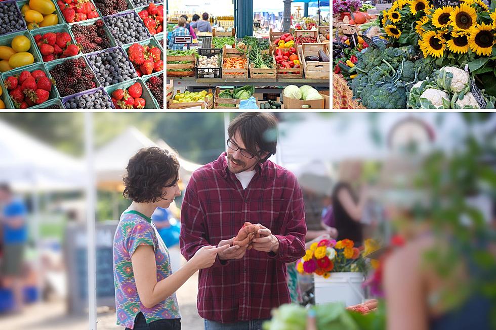 Top 10 Lansing Area Farmers Markets to Check Out This Season