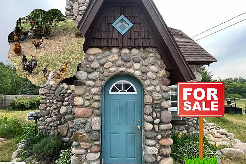 Charming Stone Cottage For Sale in Northern Michigan