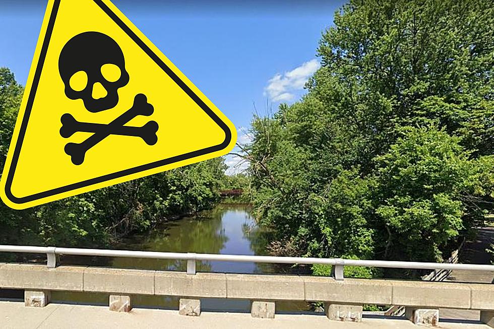 Are MSU Students Poisoning the Red Cedar River?