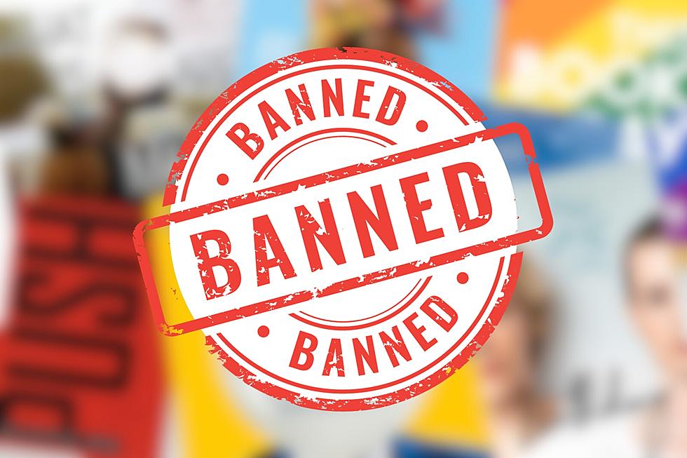 Banned! 16 Books Not on the Shelves in Michigan Schools
