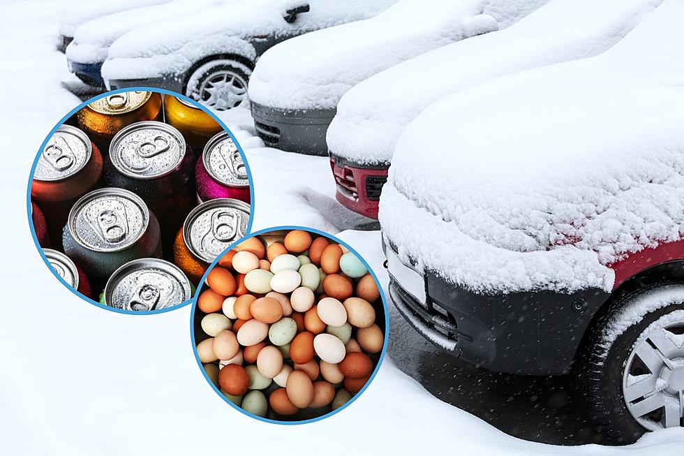 Eight Things Michiganders Shouldn’t Leave in the Car When It’s Freezing