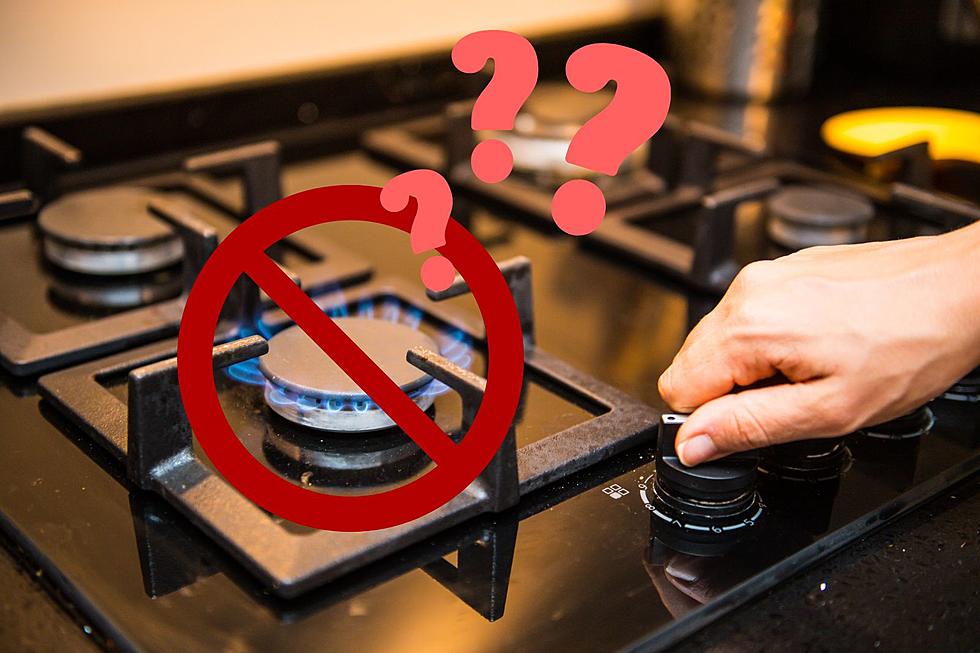 Could Michigan Get a Ban on Gas Stoves?