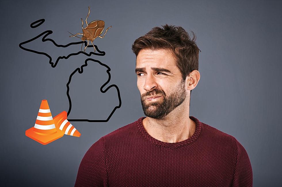 15 Reasons Why Spring is the Worst Season in Michigan