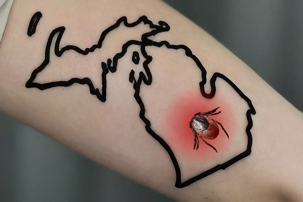 Big Year Shaping Up for Ticks and Lyme Disease in Michigan