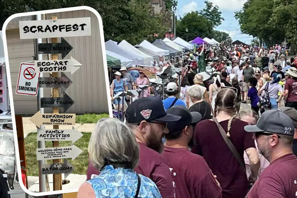 40+ Jaw-Dropping Metal Sculptures Hit Old Town Lansing