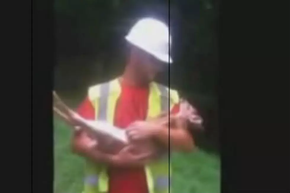 Wild Baby Deer Refuses to be Put Down After Man Gives it a Friendly Pet [VIDEO]