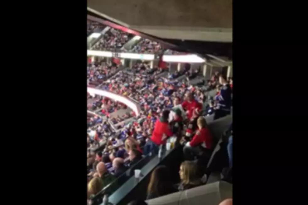 A Hockey Fight in the Stands? This Will Make you Gasp [VIDEO]