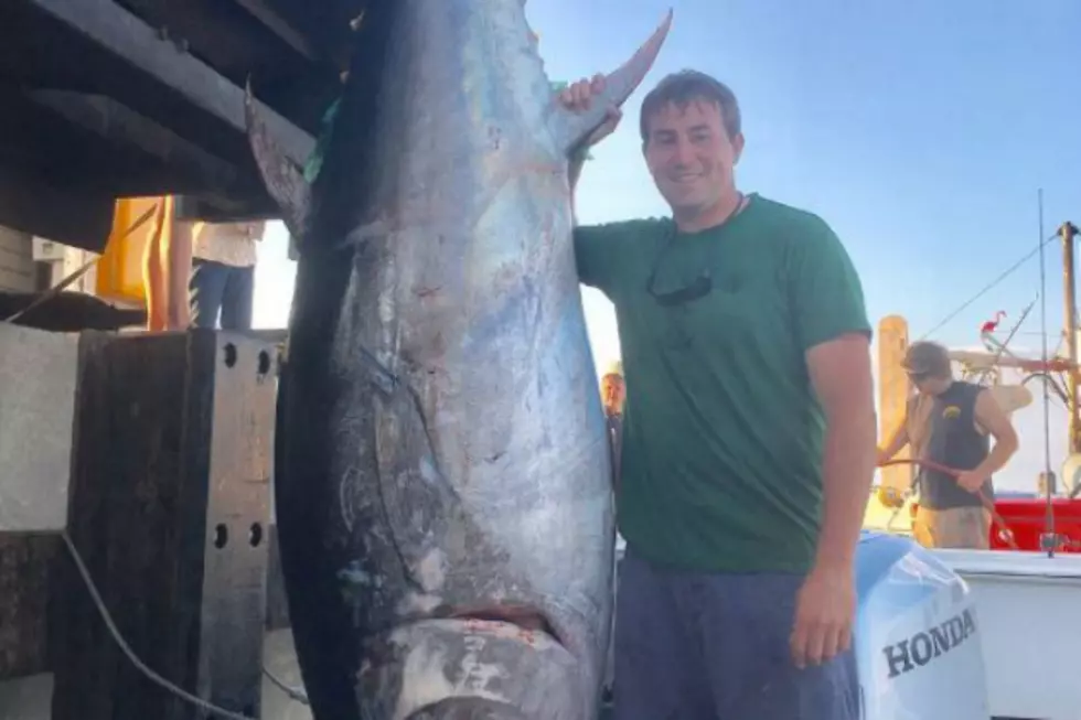 State Trooper Catches 650-Pound Fish off the Coast of New Hampshire