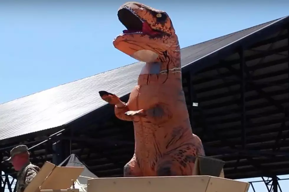 Don&#8217;t Be Alarmed If You See Hundreds Of Dinosaurs In Downtown Portland This Weekend