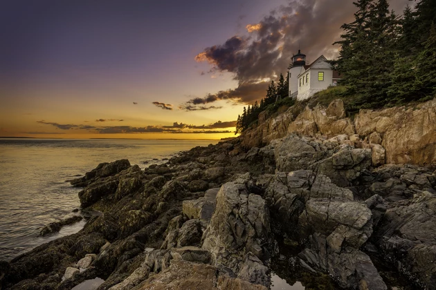 Glamorize Your Zoom Meetings With Free Photos From Acadia National Park