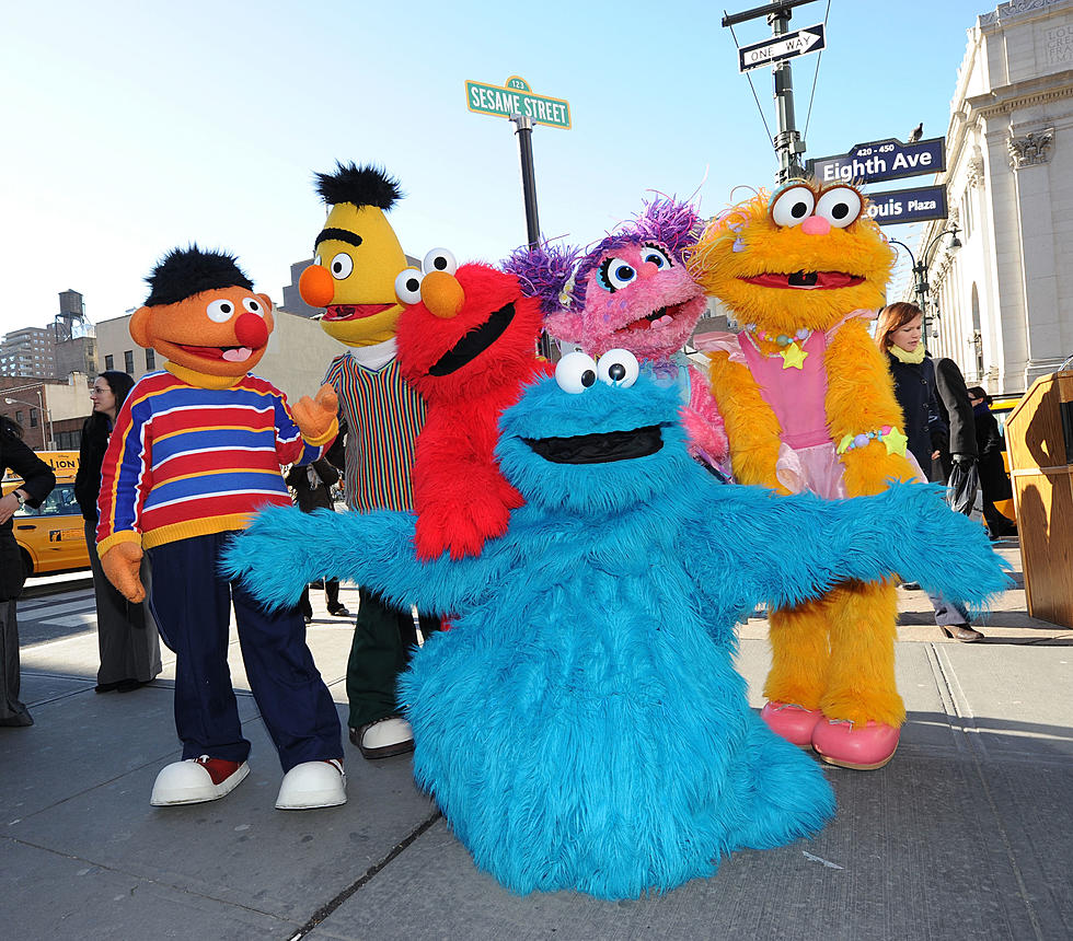 New Englanders React: Which Sesame Street Character Would You Rather Be Stuck With?