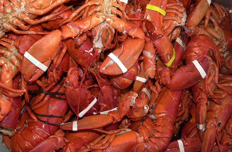 Check Your Packages: A Maine Company Just Recalled Over 5,000 Pounds of Lobster Meat