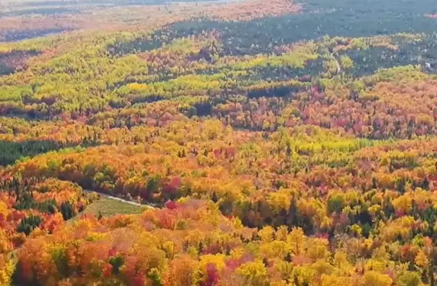Breathtaking Drone Video Of Maine Foliage Will Make You Glad It&#8217;s Fall