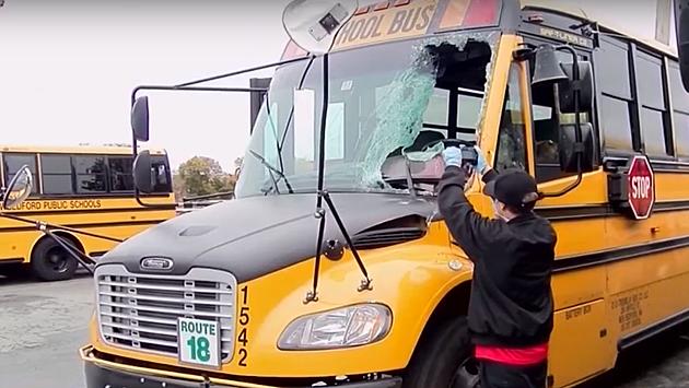 Collision Launches Deer Through Windshield Of Bus Full Of Kids