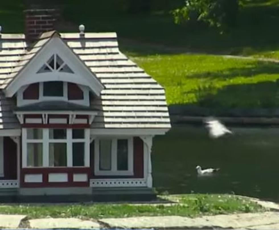 Portland Maine’s Historic Duck House Gets Much Needed Renovations