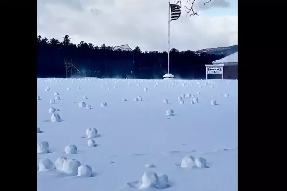 It’s So Cold In Maine, The Snowballs Are Making Themselves