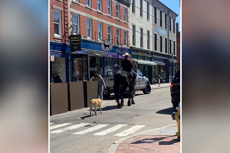 Remember This Dude Riding a Horse & Walking His Dog in Portsmouth, NH?