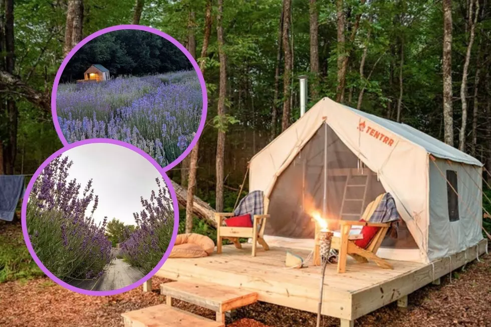 Relax and Camp Overnight at this Lavender Farm in Maine