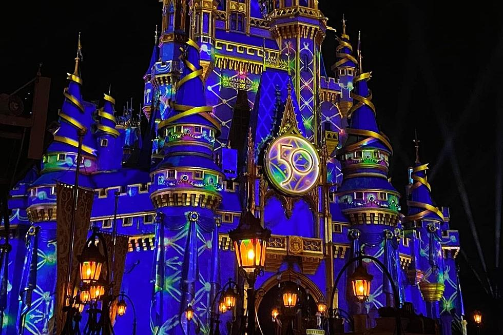 Walt Disney World Updates For Your Spring Break 