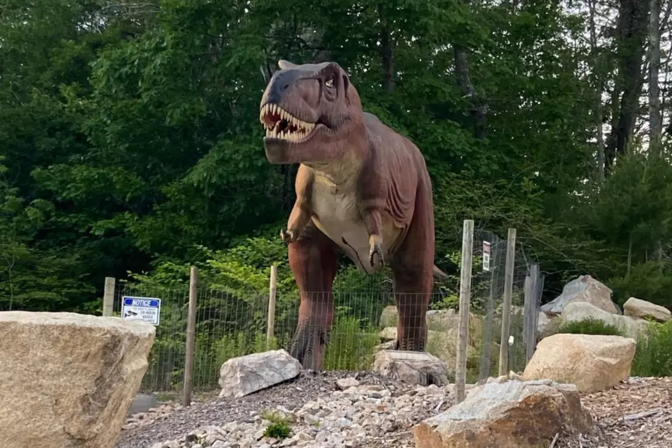 Forget Universal, Play With Dinosaurs This Summer in Maine