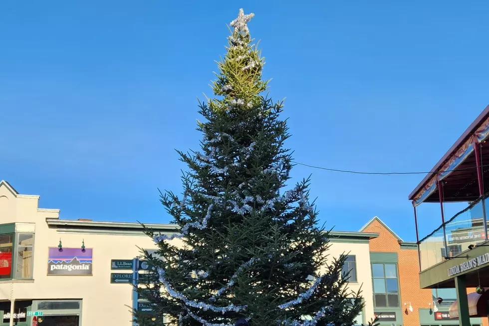 This Huge Talking Christmas Tree Is Returning to Freeport, Maine