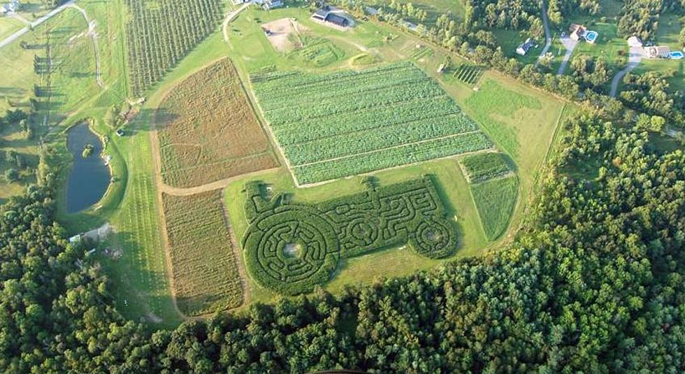 Treworgy Family Orchards in Levant, Maine, Celebrates 40 Years With Retro Corn Maze