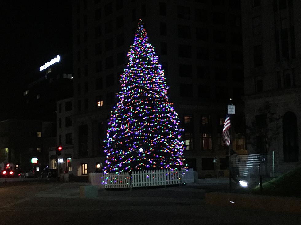 Do You Have the Perfect Tree for Monument Square in Portland?