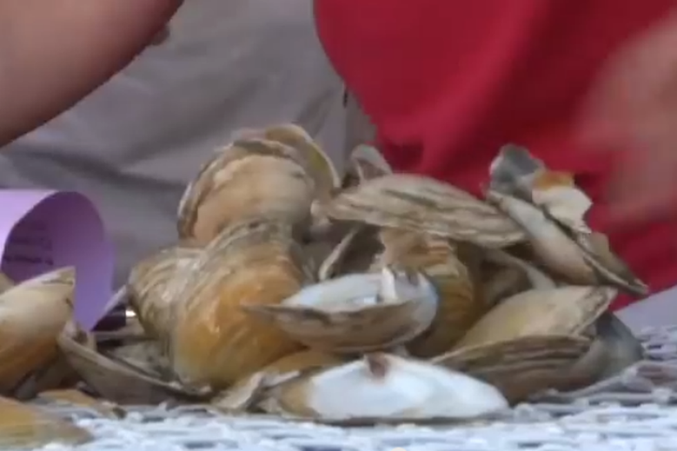 Clam Shucking and More! 49th Annual Yarmouth Clam Festival!
