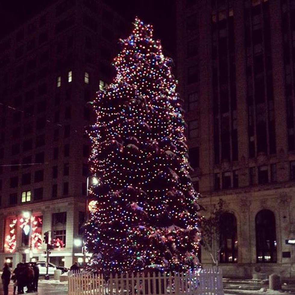 Portland Downtown Wants Your Tree to Be This Year&#8217;s Christmas Tree in Monument Square