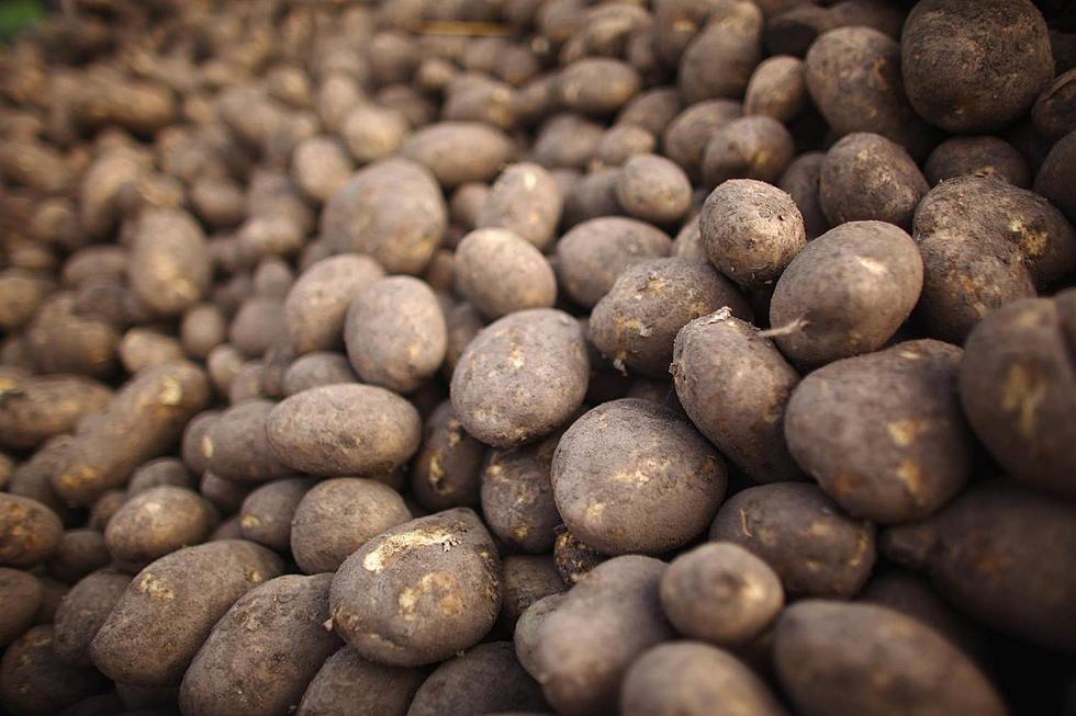 Straight Outta The County: Two Senior Citizens Steal $45K Worth of Potatoes