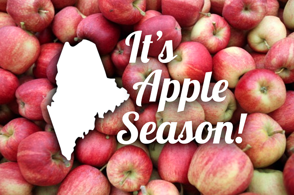 Apple Season Is Here! Check Out Maine’s Best Orchards [Interactive Map]
