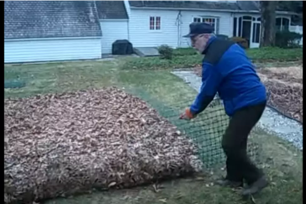 Guy Puts Mesh Fencing On His Lawn For The Best Reason Ever [VIDEO]
