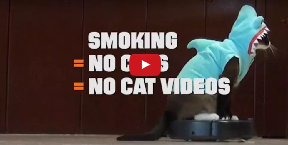 #TruthBomb: Your Cat is Twice as Likely to Get Cancer If You Smoke [VIDEO]