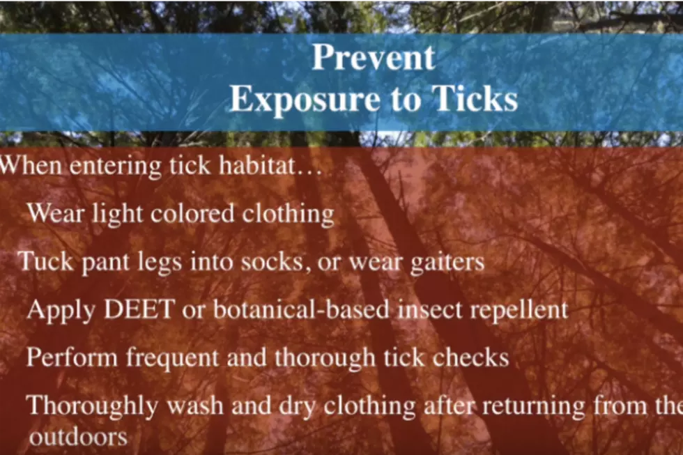Learn How To Defend Yourself Against Ticks This Season With This Video