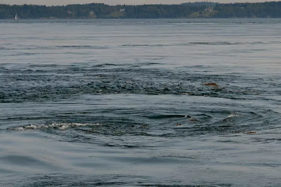 This Massive Whirlpool in Eastport, Maine is the Second Largest in the World