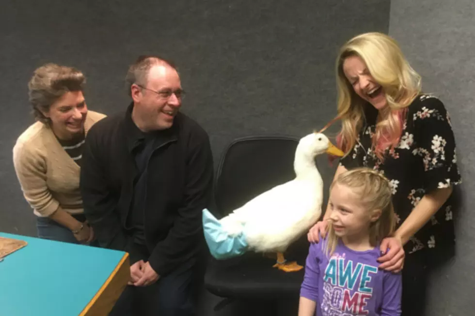 Little Kylie from Freeport and Her Duck Snowflake Splashed Around the Q Studio