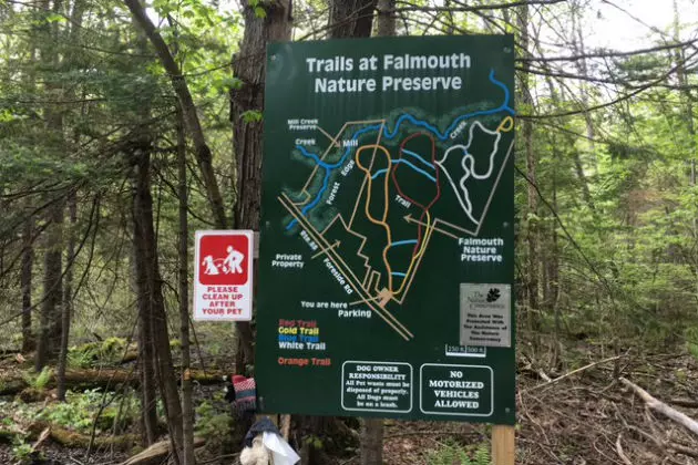 A Remarkable Hidden Nature Preserve Right Around the Corner in Falmouth