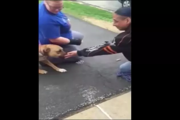 Dog and Man Reunited After Two Years &#8211; When The Dog Remembers Him&#8230;It&#8217;s Amazing.