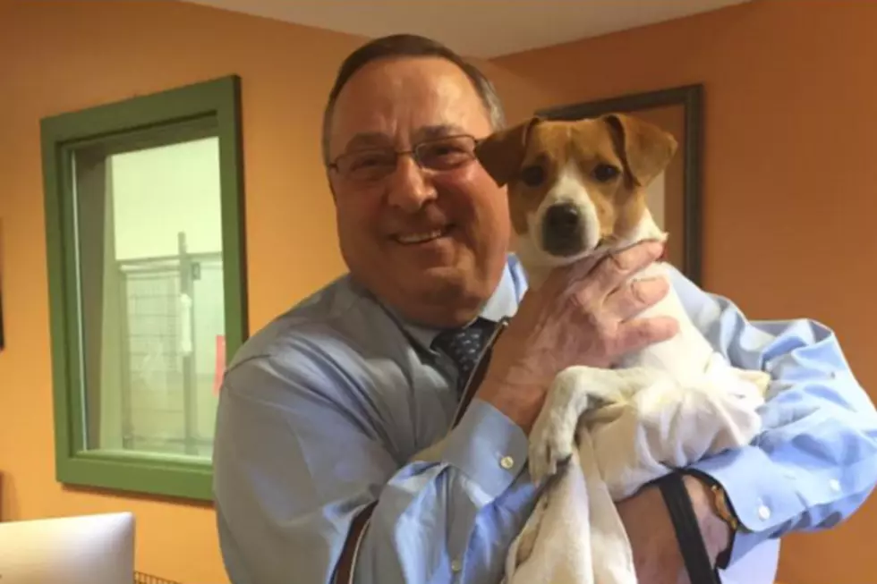 Governor Paul LePage Rescued a New Dog & Gave Him a Political Name