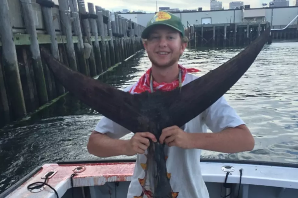 MAINE STORIES: College Student Helps Reel in Giant Bluefin Tuna Off Maine Coast