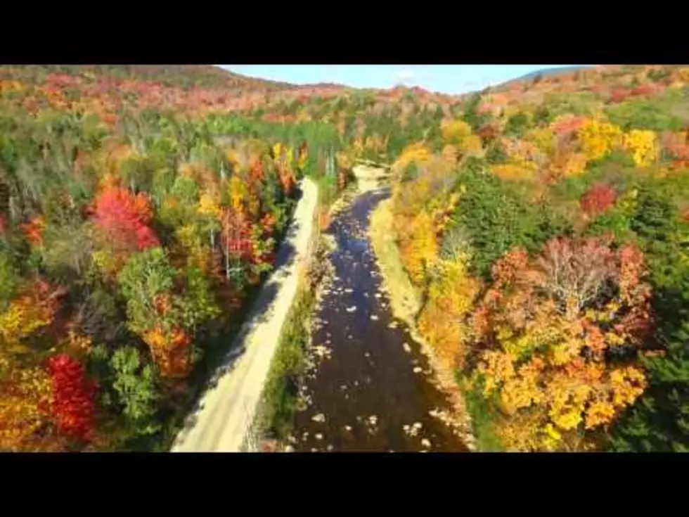 Fall in Maine From Above