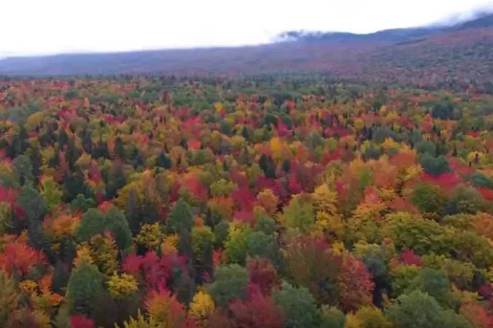 Check Out Maine’s Foliage Like You’ve Never Seen It Before [VIDEO]