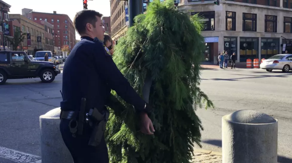 Portland&#8217;s Traffic-Blocking Tree Man Speaks!